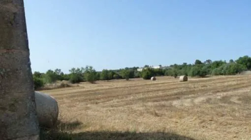 Große Finca zum Renovieren mit Mühle Große Finca zum Renovieren mit Mühle