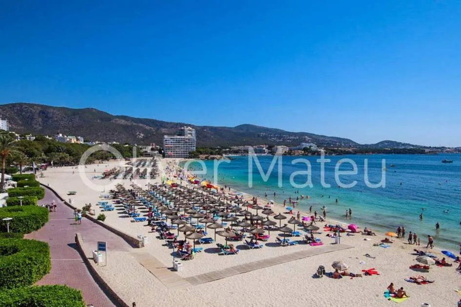 Wohnung zum verkauf in Palmanova