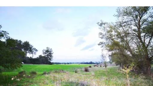 RUSTIKALES LAND AUSSERHALB VON MARIA DE LA SALUT