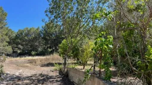 Grundstück in begehrter Lage in Santa Ponsa