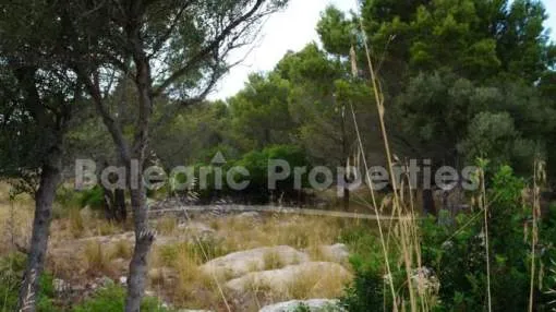 Grundstück kaufen in Valldemossa, Mallorca