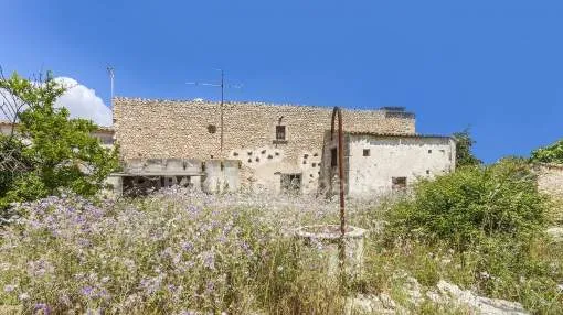 Großes rustikales Grundstück kaufen in Laufnähe zum Dorf Campanet, Mallorca