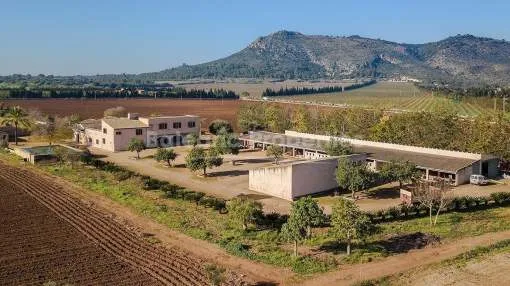 Enorme mallorquinische Immobilie mit Investitionspotenzial zum Verkauf in Llubí, Mallorca
