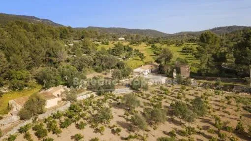 Riesiges Grundstück kaufen in Bunyola, Mallorca