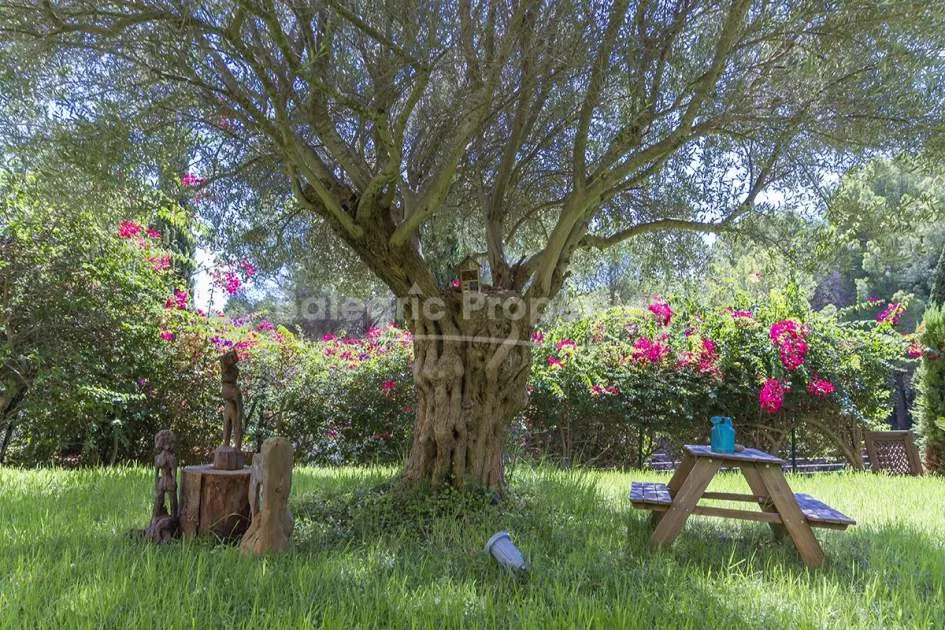 Wunderschöne Gartenwohnung kaufen in einer ruhigen Gegend von Sol de Mallorca
