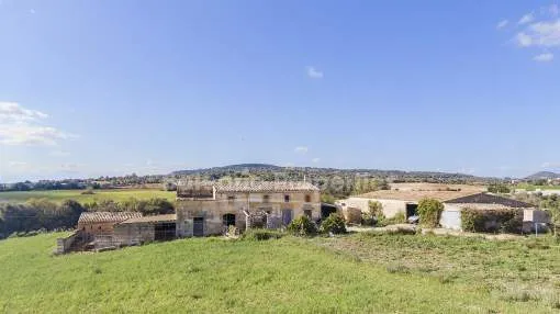 Grundstücke für den Bau von zwei Luxus-Fincas kaufen in Manacor, Mallorca