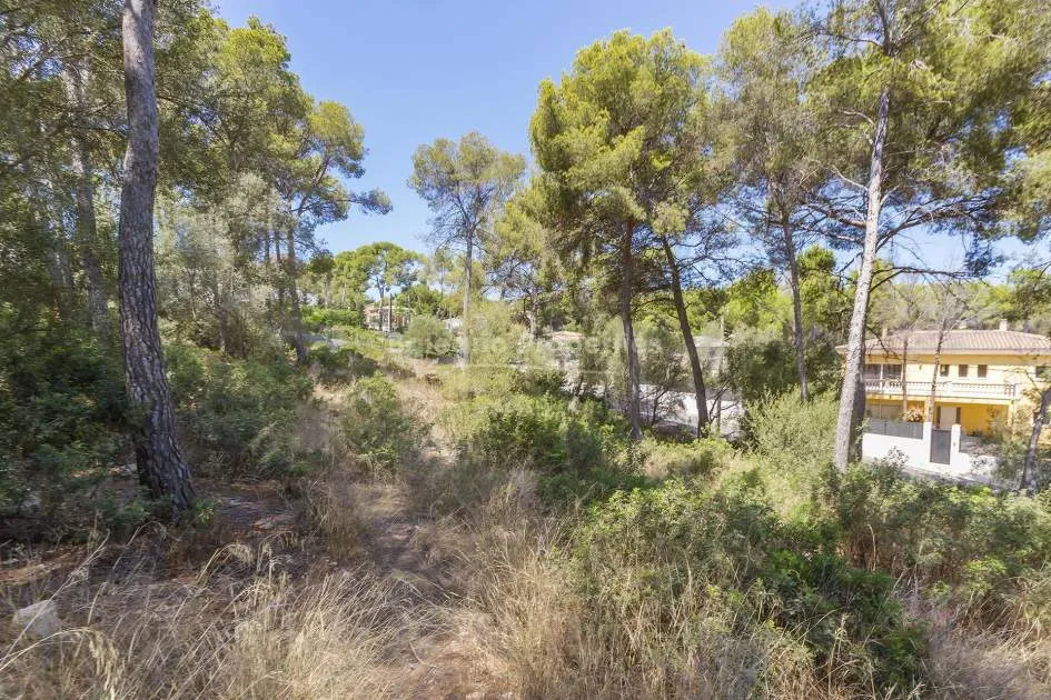 Begehrtes Wohngrundstück Nähe von Santa Ponsa, Mallorca zu verkaufen