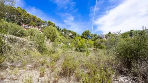Dorfbaugrundstück mit Bergblick in der Ortschaft Galilea, Mallorca zu verkaufen