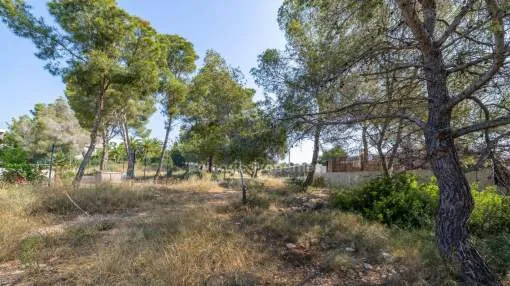Wohnbaugrundstück mit Projekt und Lizenz zu verkaufen in Cala Vinyes, Mallorca