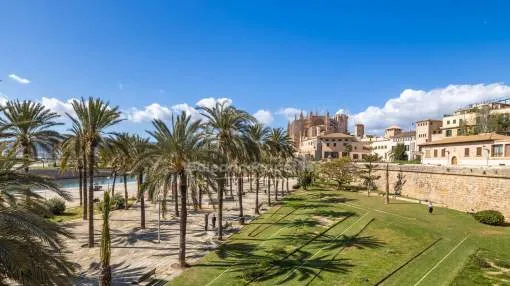 Wohnung mit Meerblick kaufen in der prestigeträchtigen Altstadt von Palma, Mallorca