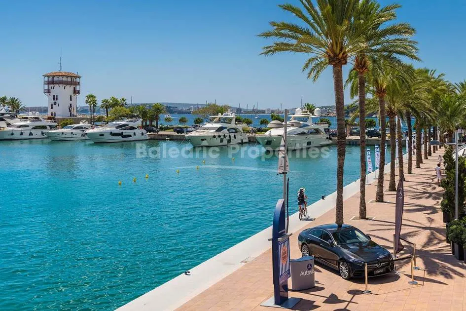 Beeindruckendes Meerblickgrundstück mit Villenprojekt, zu verkaufen in Portals Nous, Mallorca