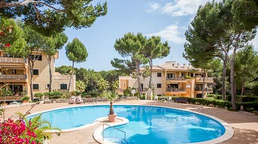 Individuelles Apartment in Cala Ratjada in unmittelbarer Nähe zum bekannten Strand Cala Agulla Individuelles Apartment in Cala Ratjada in unmittelbarer Nähe zum bekannten Strand Cala Agulla