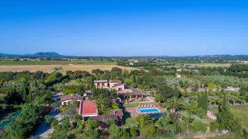 Hochwertige Finca mit 40.000 qm Grundstück, Palmengarten, Pool und Vermietungslizenz in Binissalem Hochwertige Finca mit 40.000 qm Grundstück, Palmengarten, Pool und Vermietungslizenz in Binissalem