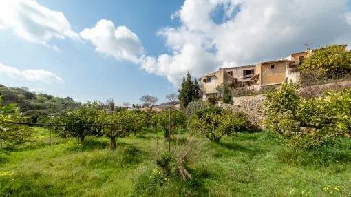 Dorfhaus zum Renovieren mit großem Obstgarten in Alaró