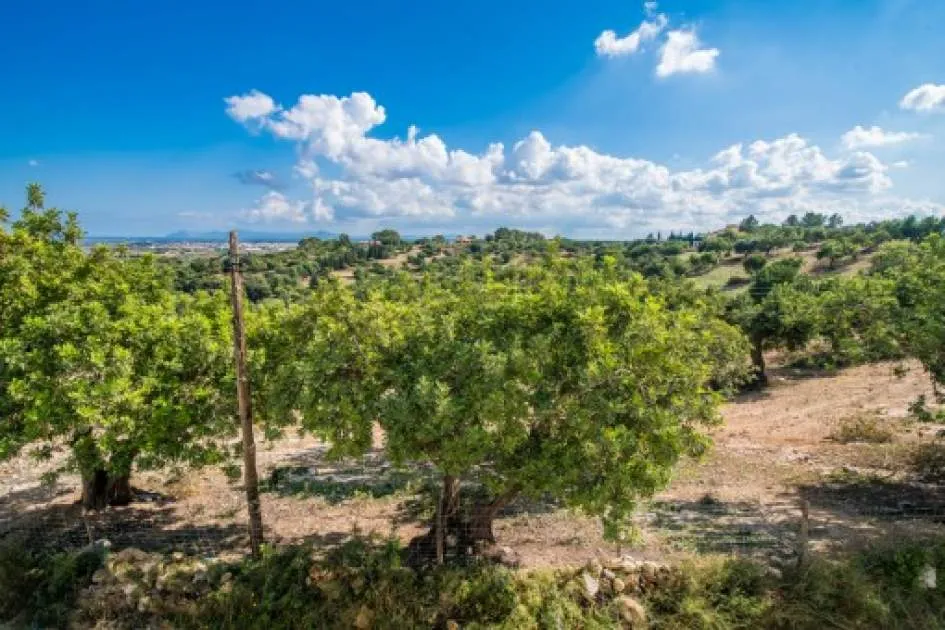 Gemütliches Chalet plus separatem Grundstück und einmaligem Panoramablick über die Bucht von Alcúdia