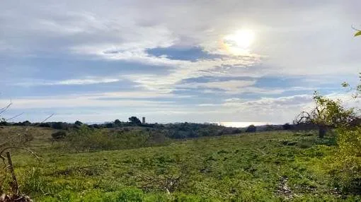 Einzigartiges Grundstück mit Altbestand und traumhaften Panoramablick bis zum Meer in S'Espinagar