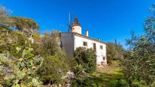 Einzigartiges Dorfhaus mit Mühlturm, grossem Garten und Weitblick in Santa Eugenia