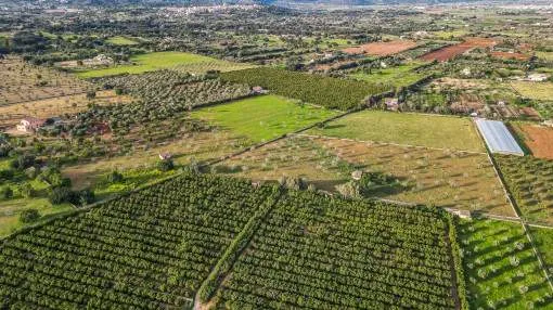 Traumhaftes Entwicklungsprojekt in Buger: 6 Parzellen im ländlichen Teil Mallorcas für freistehende Landhäuser