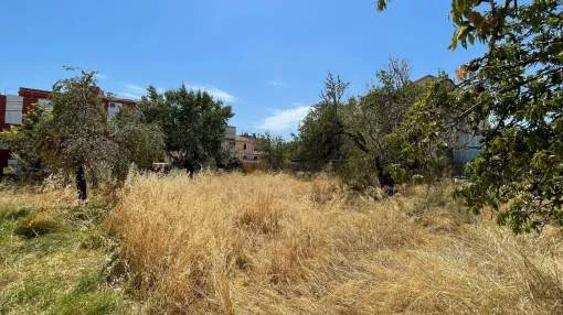 Tolles bebaubares Grundstück im Dorf Calvià