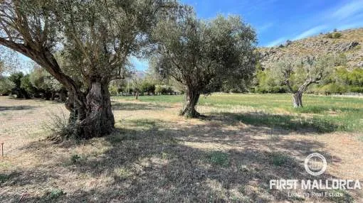 Fantastisches ländliches Grundstück mit Baugenehmigung in Pollença