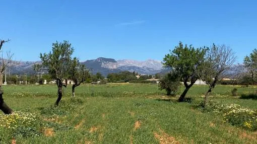 Grundstück mit Lizenz für eine rustikale Finca mit Pool und Blick auf das Tramuntana-Gebirge in Consell